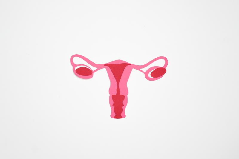 You are currently viewing Santé reproductive : tout savoir sur la santé sexuelle et la fertilité