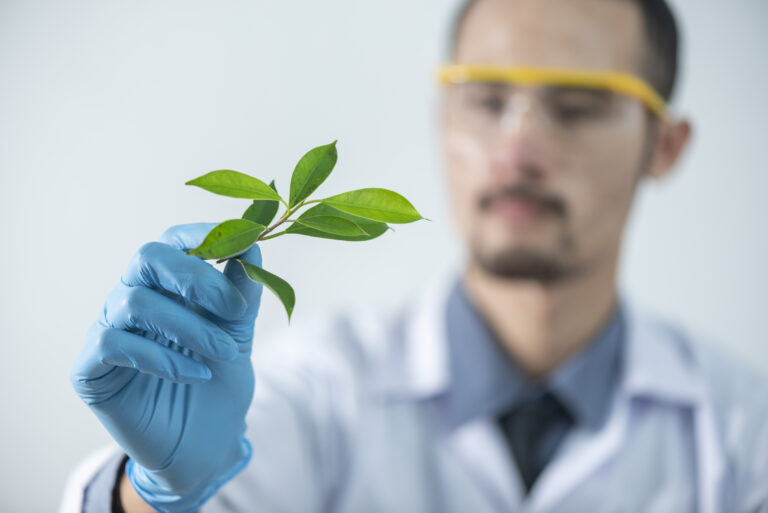 Lire la suite à propos de l’article Médicaments naturels: Trouvez des solutions naturelles pour votre santé